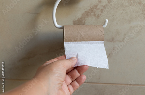 una mano tomando la ultima toalla de papel sanitario