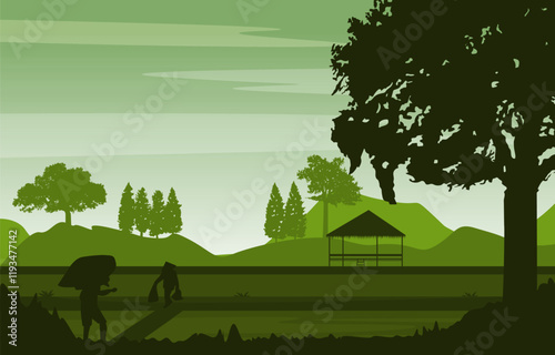 Asian Farmer Paddy Rice Field Agriculture Nature View Illustration