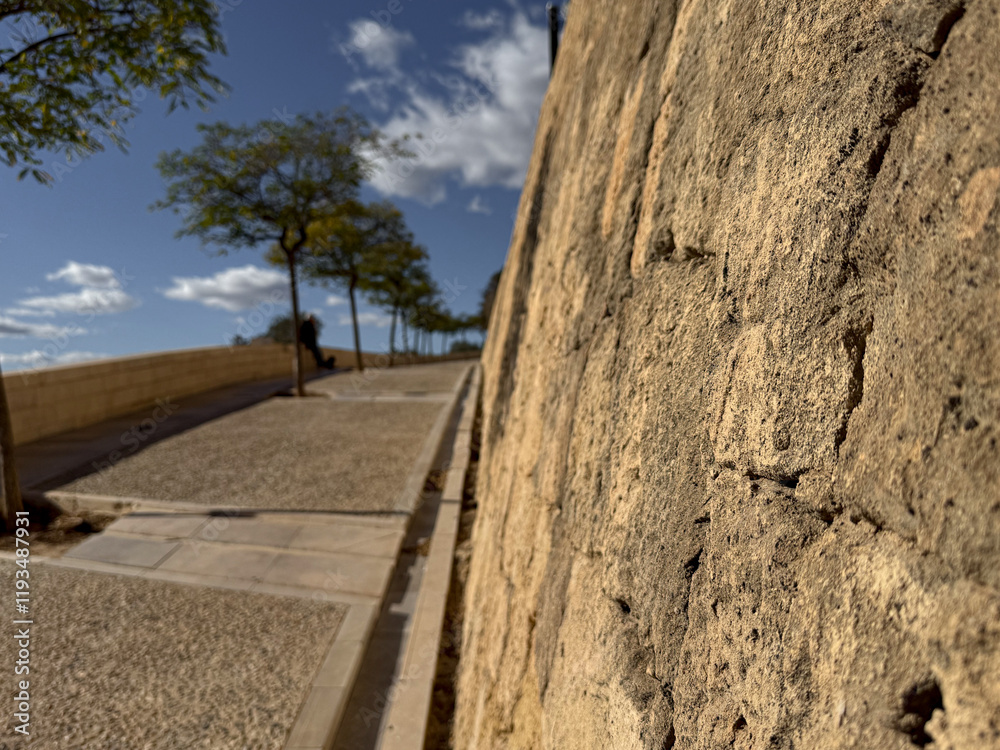 Urban stone texture with tree-lined pathway and blue sky Urban stone texture with tree-lined pathway and blue sky