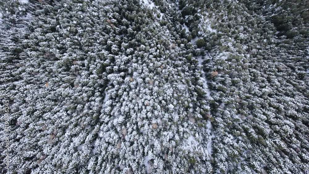 Vue de drone de la station de ski d'Auron, dans les Alpes, près de Nice, France