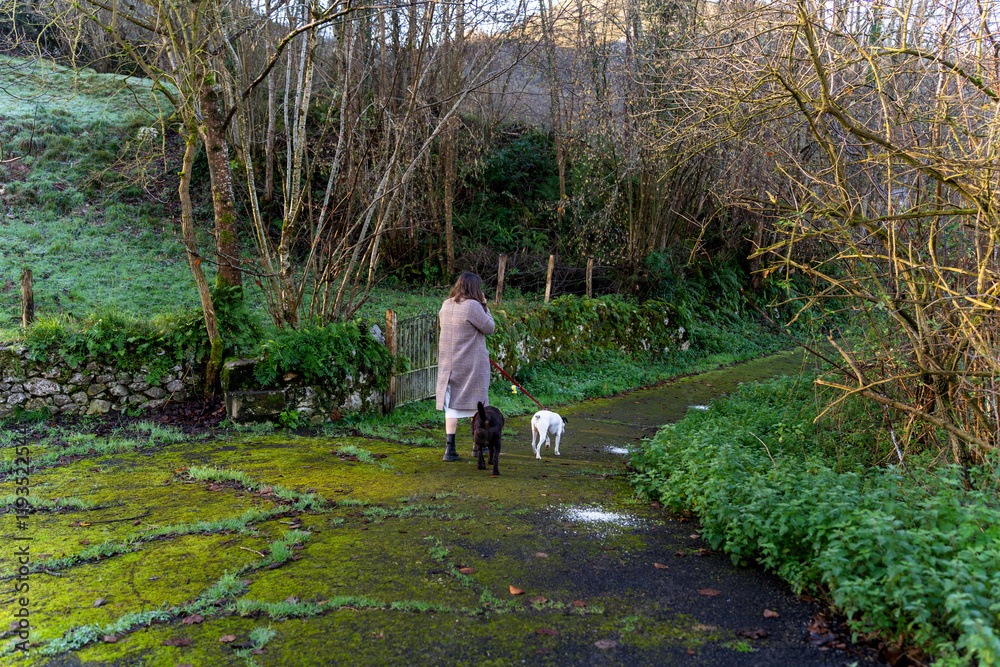 Fototapeta premium Rural walks in winter in Asturias, Spain.