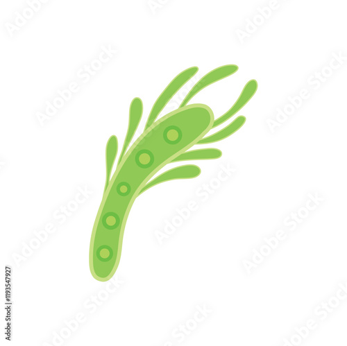 Plankton sea microorganisms icon