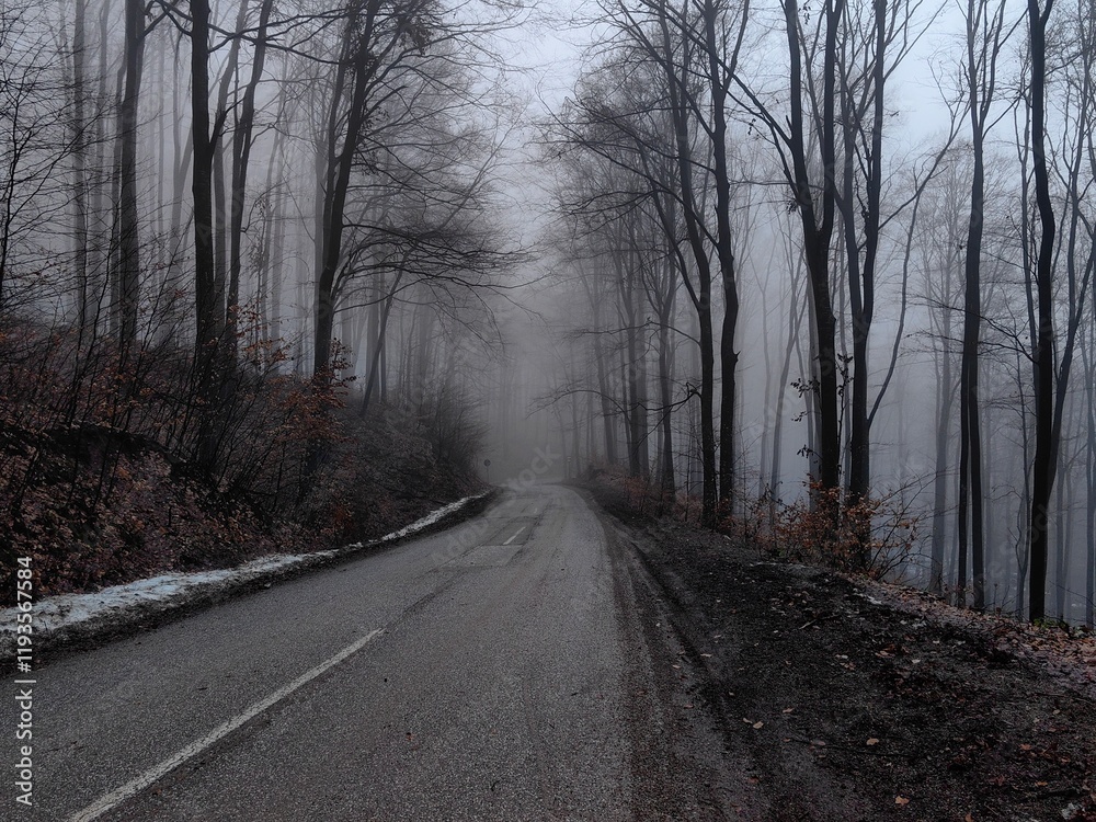 Old road through beautiful foggy forest on winter morning Old road through beautiful foggy forest on winter morning