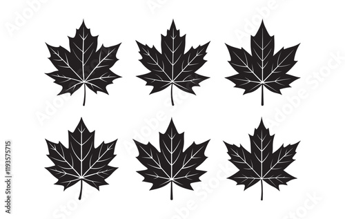 set of maple leaf silhouette, black and white silhouette, vector and illustration