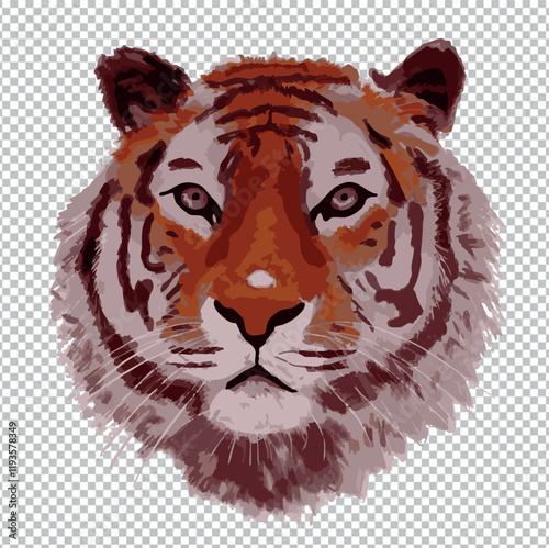 Illustration tête de tigre roux animal sauvage vecteur 