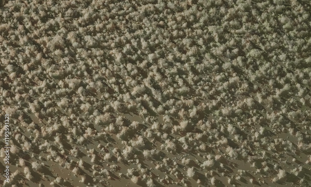 Fototapeta premium Snowflakes on a Car at Night: Winter's Frozen Art
