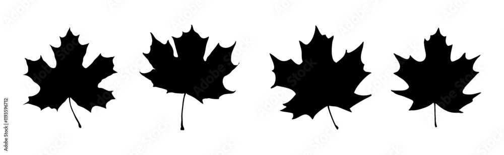 isolated maple leaves collection isolated maple leaves collection
