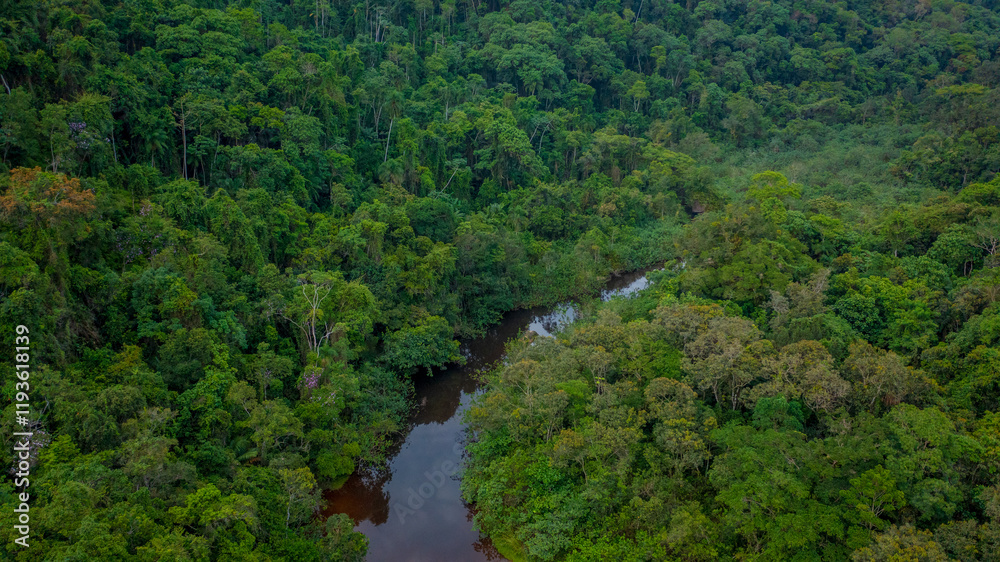 Beautiful aerial view of a small river that flows into Praia da Fazenda, a sustainable tourist destination within the protected area of Serra do Mar State Park, Ubatuba / SP. Beautiful aerial view of a small river that flows into Praia da Fazenda, a sustainable tourist destination within the protected area of Serra do Mar State Park, Ubatuba / SP.