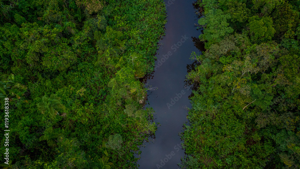 Beautiful aerial view of a small river that flows into Praia da Fazenda, a sustainable tourist destination within the protected area of Serra do Mar State Park, Ubatuba / SP. Beautiful aerial view of a small river that flows into Praia da Fazenda, a sustainable tourist destination within the protected area of Serra do Mar State Park, Ubatuba / SP.