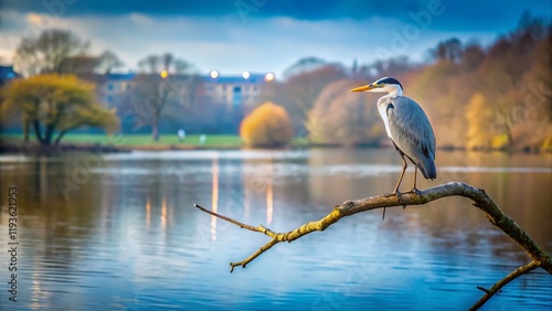 Minimalist Heron Resting on Branch, Lochend Park, Edinburgh, Scotland photo