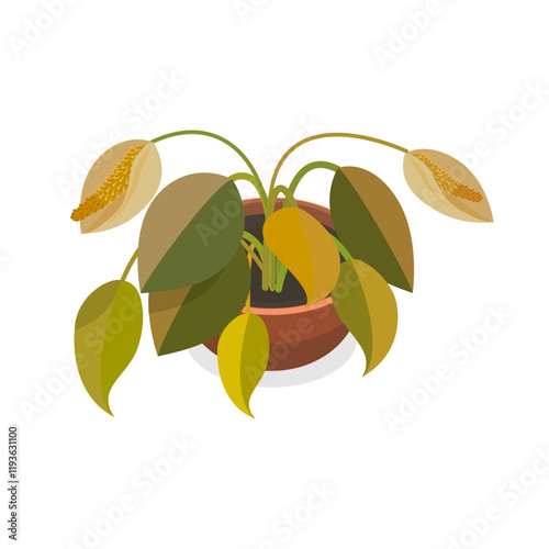 3D Isometric Flat Vector Set of Withered Houseplants In Pots, Fading Indoor Plants. Item 3