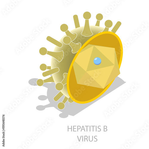 3D Isometric Flat Vector Illustration of Hepatitis Viruses, Liver Disease. Item 4