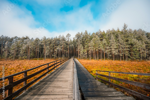 Photos A wooden walking misty path in Bor na Czerwonem nature reserve in Nowy Targ in P
