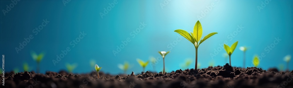 Small green sprouts emerging from soil against bright blue sky symbolize new life, spring. Healthy growth, eco concept. Freshness, vitality of nature. Outdoor photo shows young seedlings germinating Small green sprouts emerging from soil against bright blue sky symbolize new life, spring. Healthy growth, eco concept. Freshness, vitality of nature. Outdoor photo shows young seedlings germinating