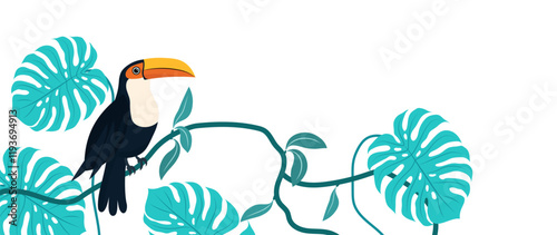 Toucan birds vector background, hand drawn in flat style. Black tropical animal nature with palm floral elements and monstera. Hawaiian wildlife set, for print, decor