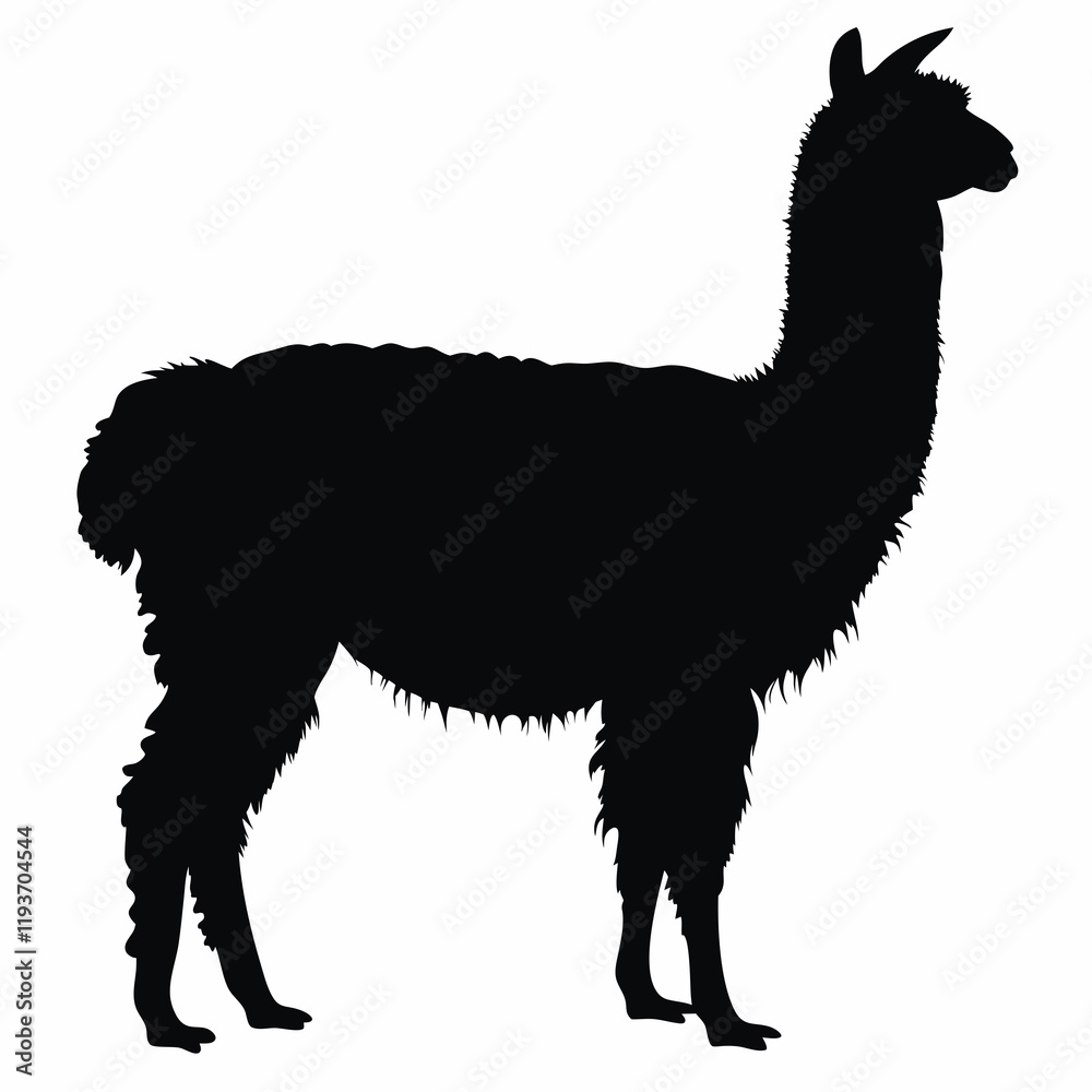 Fototapeta premium Black silhouette of a llama on a white background