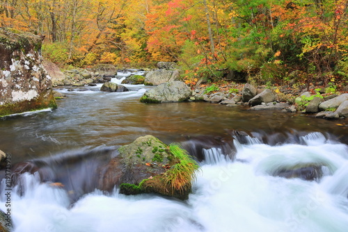 stream in the autumn forest