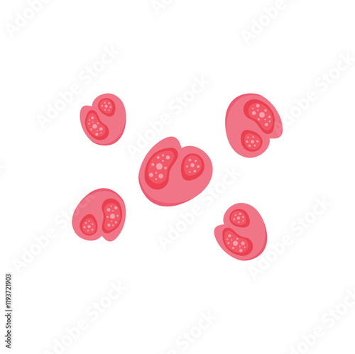 Chlamydia Trachomatis Virus. Vector illustration.