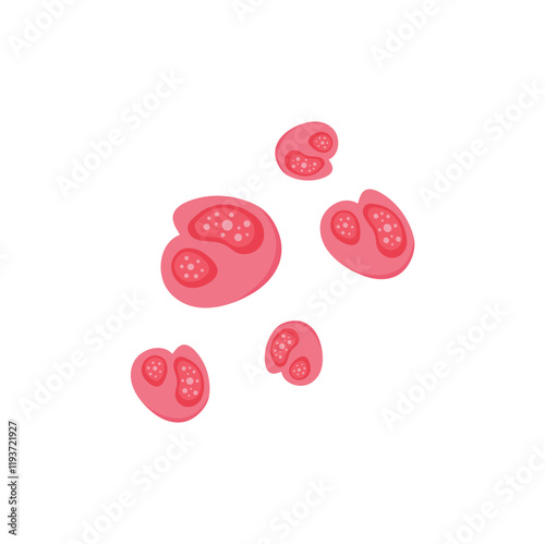 Chlamydia Trachomatis Virus. Vector illustration.