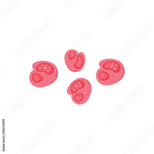 Chlamydia Trachomatis Virus. Vector illustration.