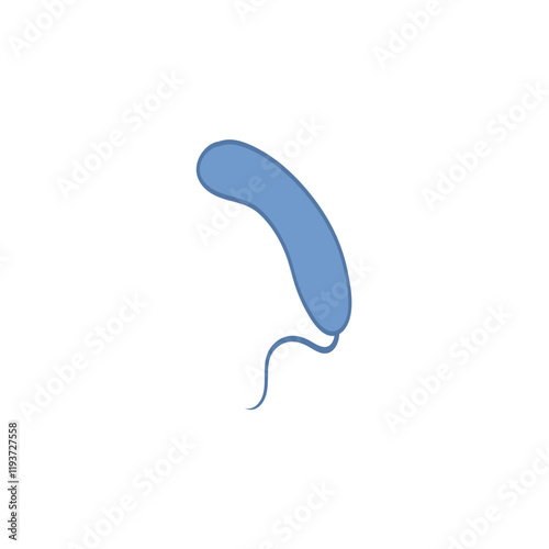 Vibrio cholera. Cholera infection. Microbiology. Vector illustration.