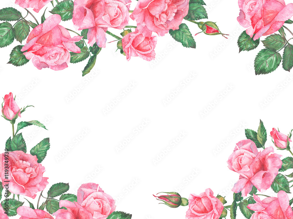 Watercolor illustration frame of pink roses. Hand painted watercolor illustration of a frame of pink roses. Ideas for weddings, birthdays, children's parties. Watercolor illustration frame of pink roses. Hand painted watercolor illustration of a frame of pink roses. Ideas for weddings, birthdays, children's parties.