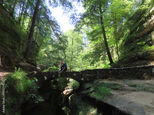 person in the forest
