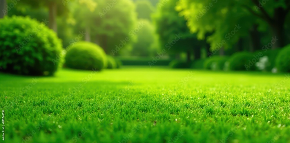 Lush, emerald green lawn, perfectly manicured , royalty-free, growth, high-resolution Lush, emerald green lawn, perfectly manicured , royalty-free, growth, high-resolution