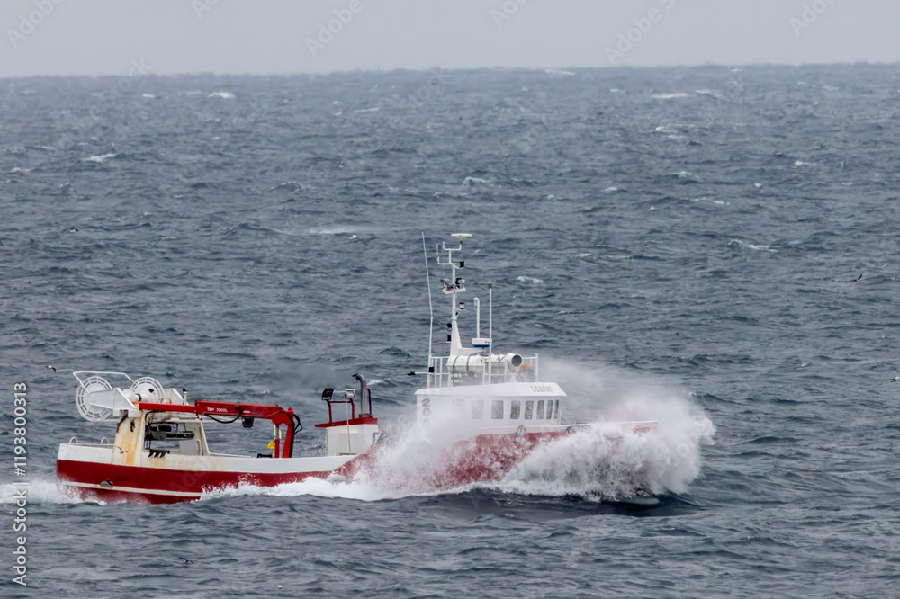 Fototapeta premium Fishing boats laden with cod return to Grimsey Island, Iceland