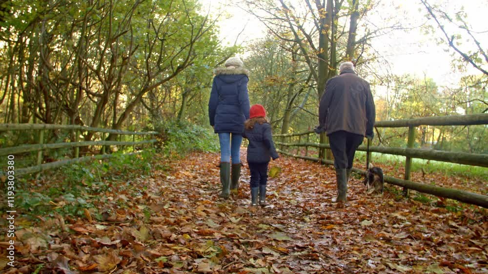 Rear view of mother with daughter and grandfather taking pet Spaniel dog on walk through autumn countryside - shot in slow motion