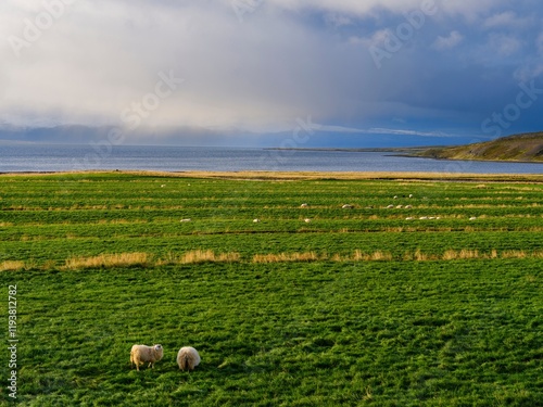 Landscape near Hvammur. The Fellsstrond in the Westfjords (Vestfirdir) of Iceland during late fall. photo