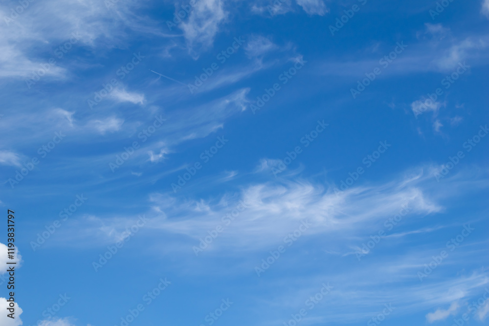 sky panorama, blue sky and delicate clouds sky panorama, blue sky and delicate clouds