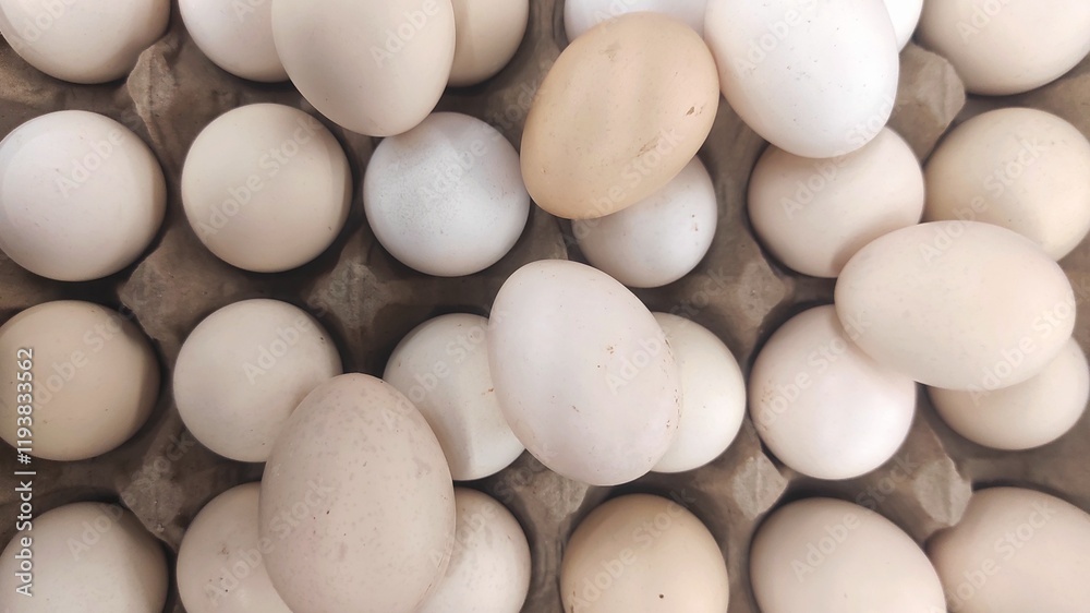 White chicken eggs arranged neatly in a cardboard carton, ready for sale at a supermarket, showcasing their freshness and suitability for cooking or baking. White chicken eggs arranged neatly in a cardboard carton, ready for sale at a supermarket, showcasing their freshness and suitability for cooking or baking.
