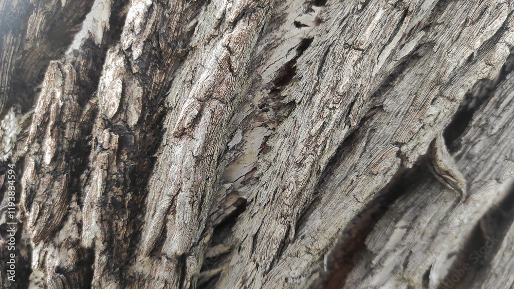 Close-up of tree bark texture, revealing intricate details of the rugged, weathered surface with natural patterns and earthy tones, showcasing organic beauty. Close-up of tree bark texture, revealing intricate details of the rugged, weathered surface with natural patterns and earthy tones, showcasing organic beauty.