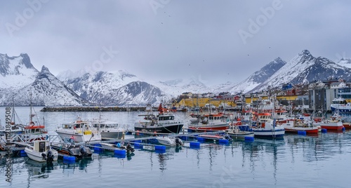 Village Husoy in Oyfjorden. The Senja island during winter in the north of Norway. photo