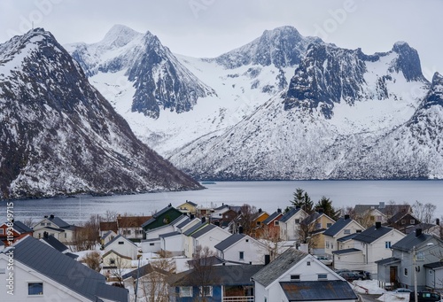 Village Husoy in Oyfjorden. The Senja island during winter in the north of Norway. photo