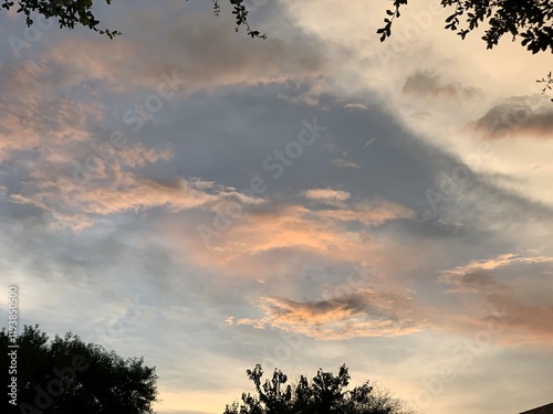 sunset in the forest