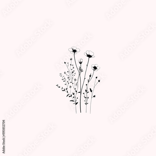 wildflower line art botanical drawings 