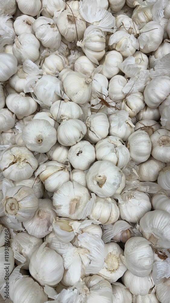 Vegetables are found in the Indian market located in Plano, Dallas, Texas, USA. Vegetables are found in the Indian market located in Plano, Dallas, Texas, USA.