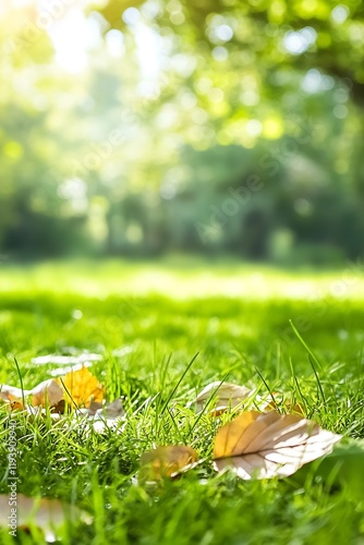 Wallpaper Mural Bright Green Spring Grass with Fallen Autumn Leaves in Sunlight : Generative AI Torontodigital.ca
