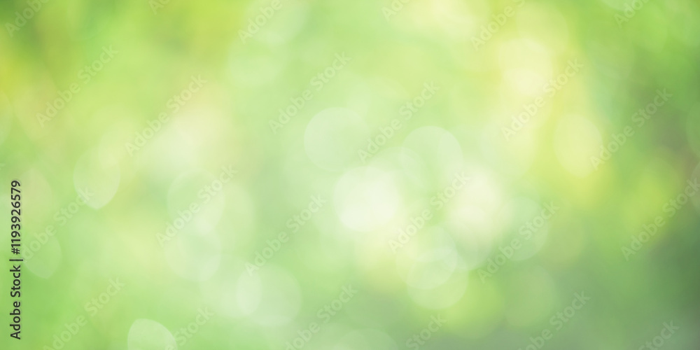 Defocused plants as background. Natural green background defocus light. Defocused plants as background. Natural green background defocus light.