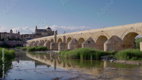 a low angle afternoon view of the ancient roman bridge and the mosque-cathedral of cordoba,spain