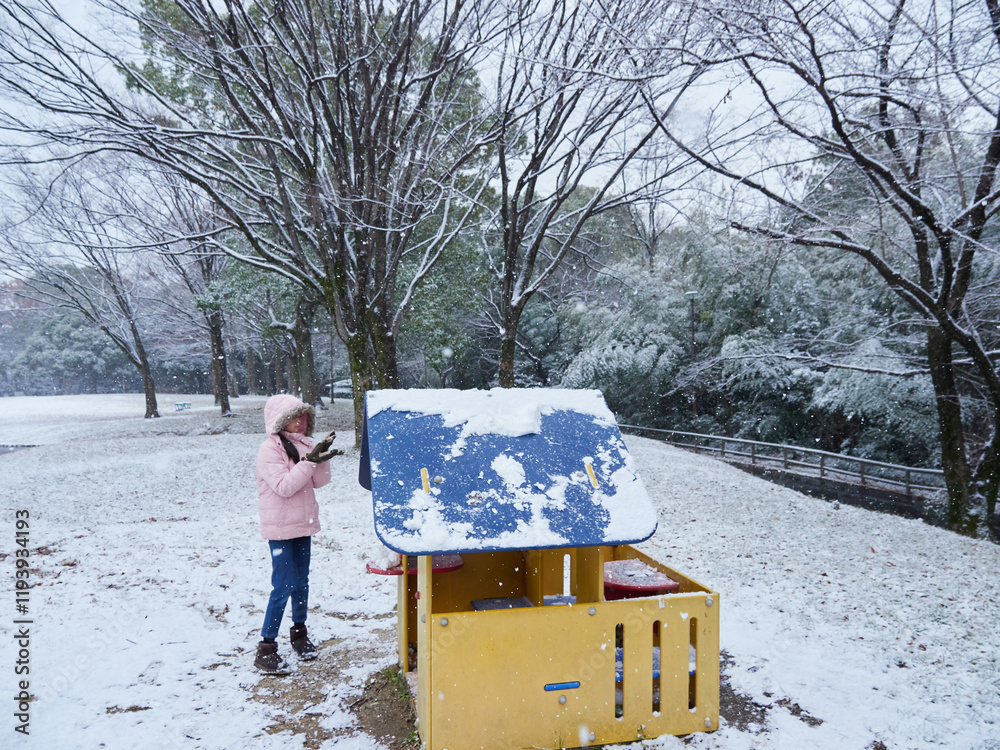Εκτύπωση καμβά 冬の公園で楽しく雪遊びしている小学生の女の子の様子
