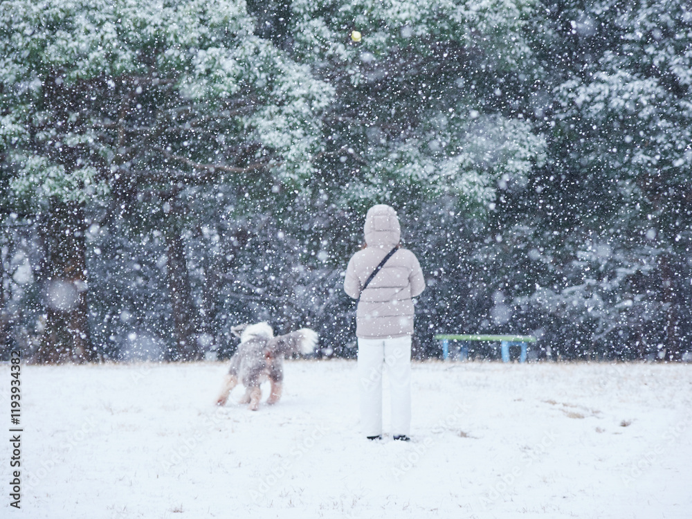 Φωτογραφία 雪の公園で犬を連れて遊んでいる一人の主婦の様子