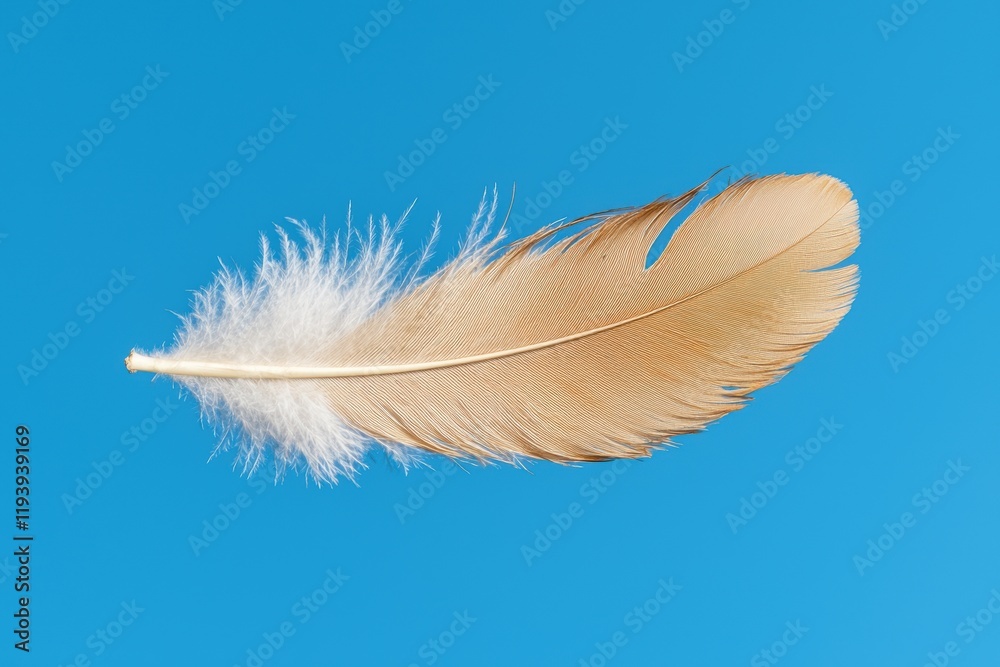 Naklejka premium Single feather against a blue background