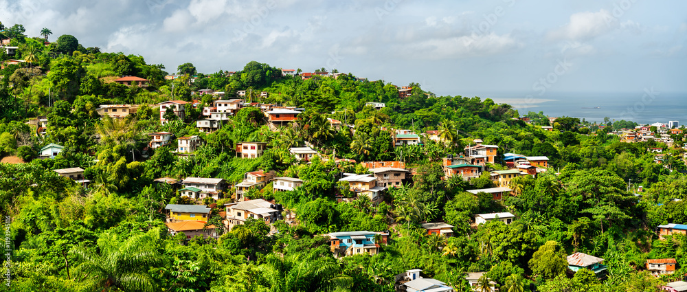 Obraz premium Houses on a hill in Port of Spain, the capital of Trinidad and Tobago