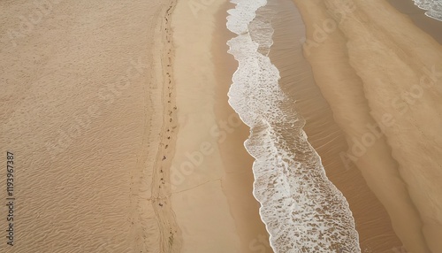 Beach and white waves lapping ashore. Blurred silhouettes of palm or coconut leaves right. 7 photo