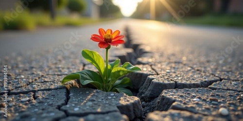 Resilience A vibrant blossom pushing through fractured pavement, bathed in the golden light of a setting sun, symbolizes strength and the enduring power of life in the face of adversity.