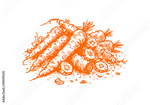 Carrot Leftover Waste Hand Drawn Sketch Illustration Vector Isolated