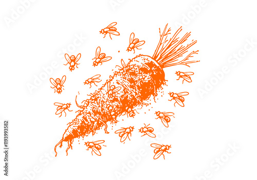 Carrot Leftover Waste Hand Drawn Sketch Illustration Vector Isolated